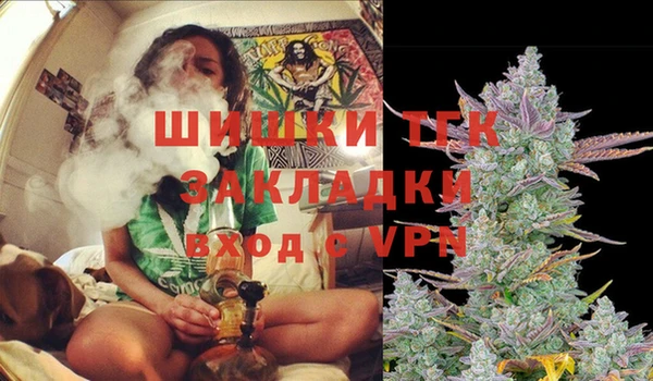 гидра Бронницы