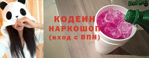 молекула духа Переславль-Залесский