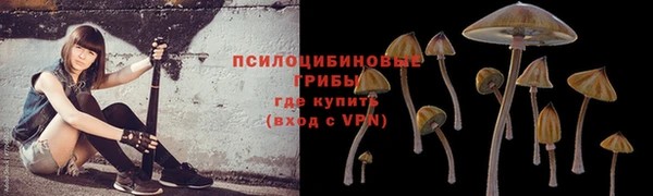 стаф Бугульма