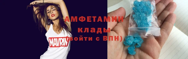 гидра Бронницы