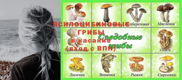 стаф Бугульма