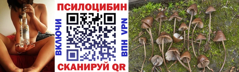 Галлюциногенные грибы Psilocybine cubensis  что такое наркотик  Еманжелинск 
