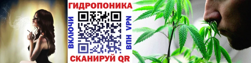 shop состав  даркнет сайт  Еманжелинск  Канабис план 